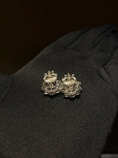 The Ruby Earrings